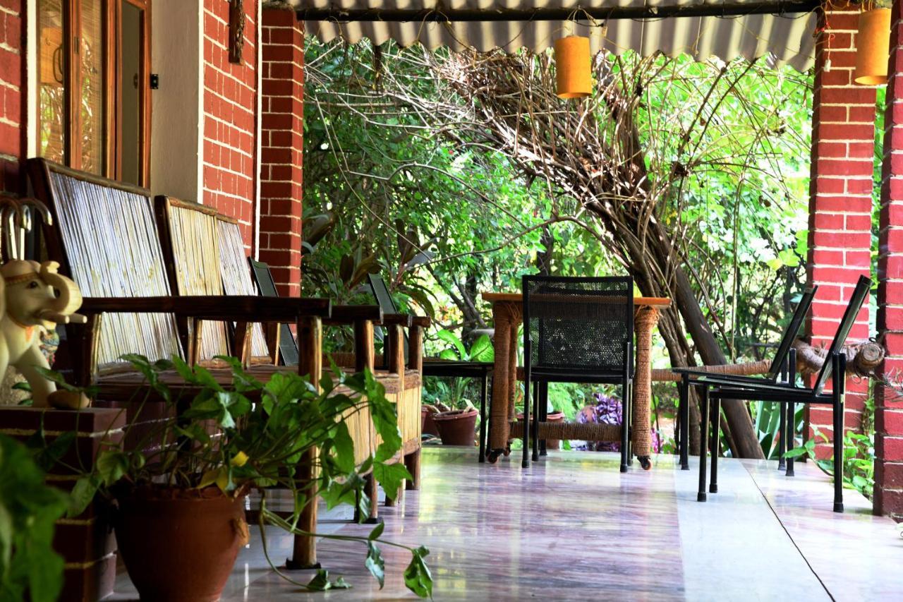Baaz Jungle Resort Khawasa Luaran gambar
