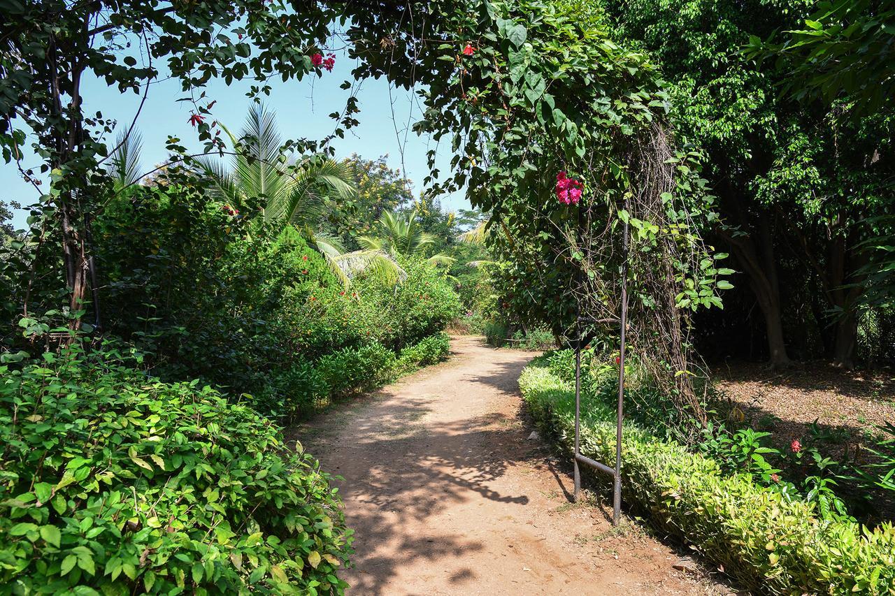 Baaz Jungle Resort Khawasa Luaran gambar