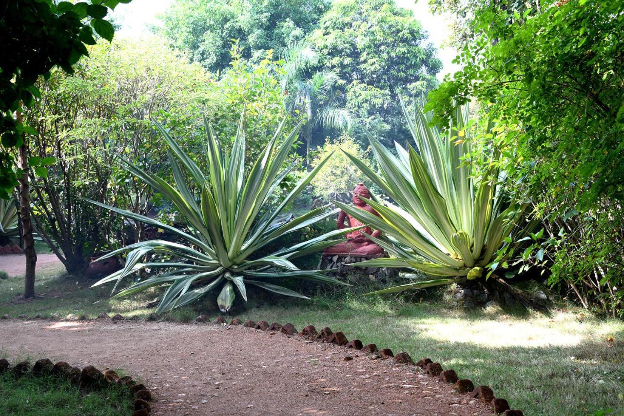 Baaz Jungle Resort Khawasa Luaran gambar