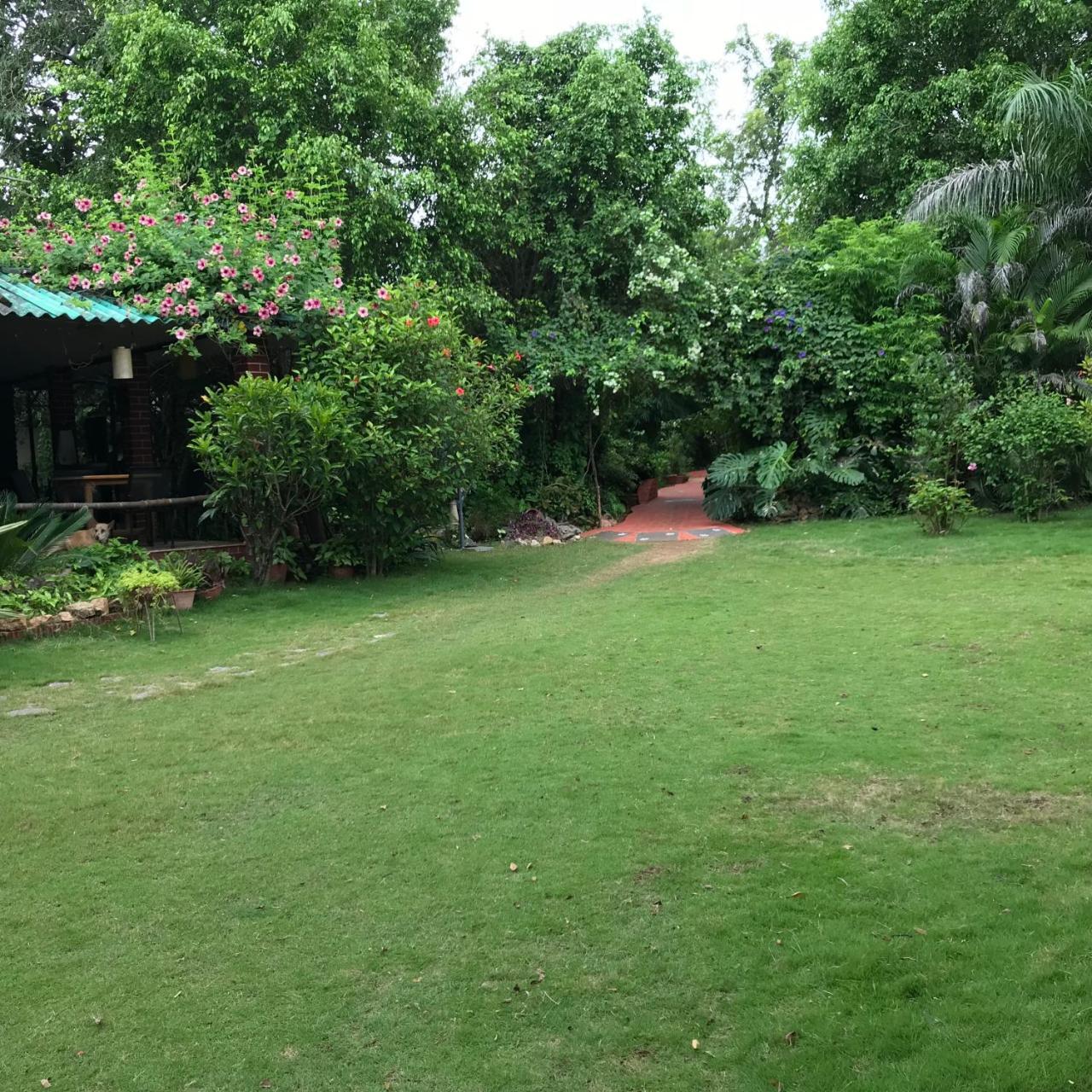 Baaz Jungle Resort Khawasa Luaran gambar