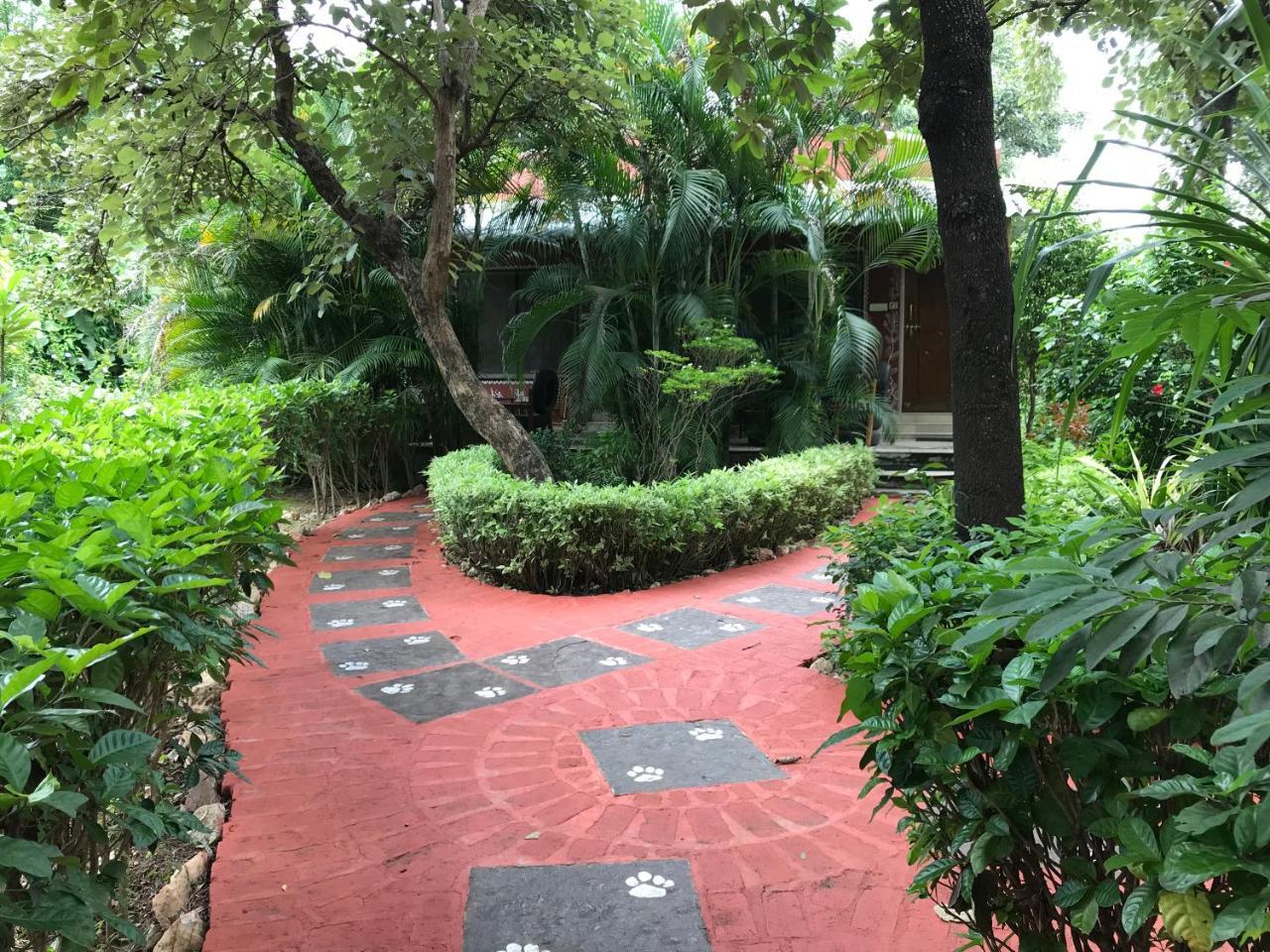 Baaz Jungle Resort Khawasa Luaran gambar