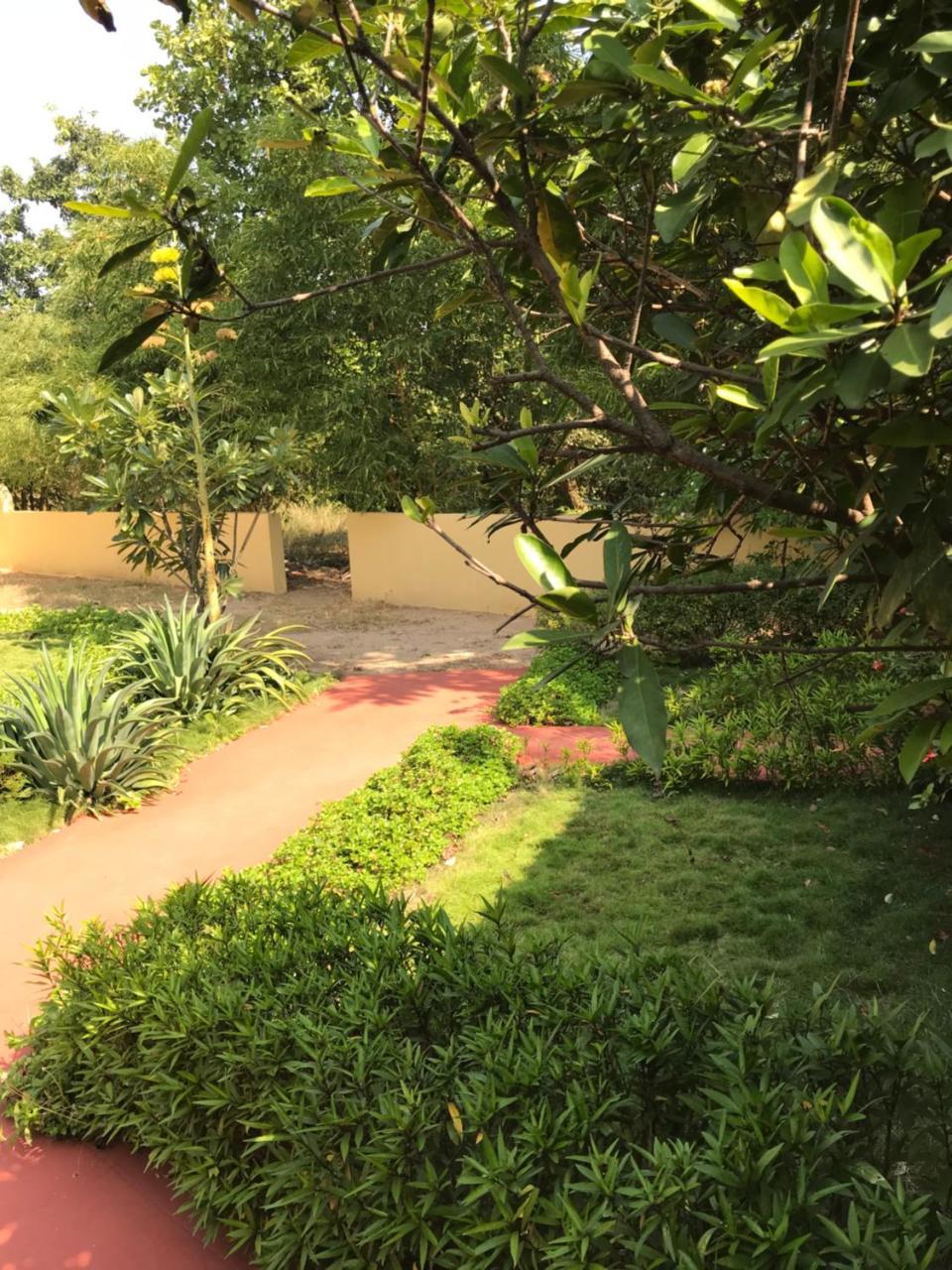 Baaz Jungle Resort Khawasa Luaran gambar